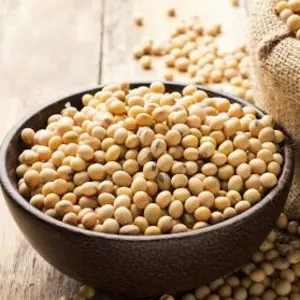 Soybean by ZEN SERVICES