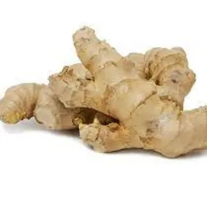 Ginger by ZEN SERVICES