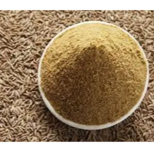 CUMIN SEED POWDER by KAPADIYA EXPO COMPANY