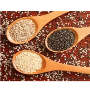 SESAME SEED by KAPADIYA EXPO COMPANY