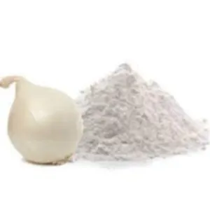 DEHYDRATED WHITE ONION POWDER by KAPADIYA EXPO COMPANY