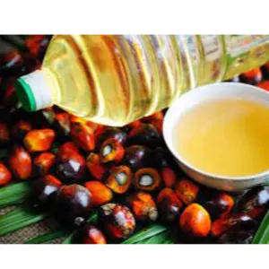 Palm Oil