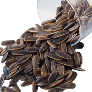 Sunflower seed from Kenya - Image 2