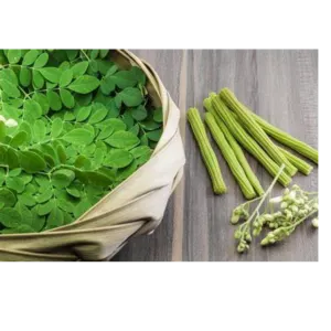 Fresh Moringa and Drumstick
