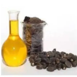 Crude Jatropha Oil