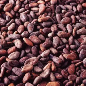 Cocoa