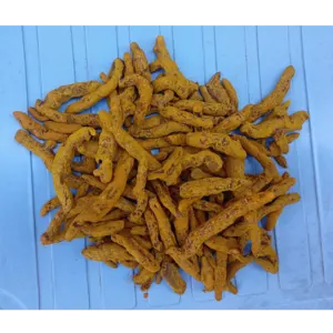Naturally grown turmeric fingers