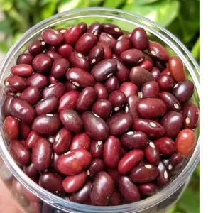 Rajma