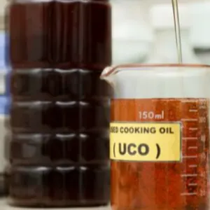 Used Cooking Oil UCO /UVO - Image 2
