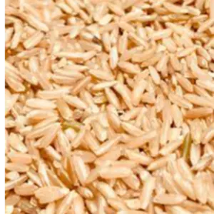 brown rice