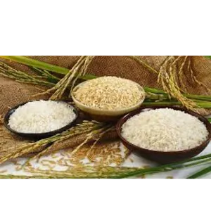organic rice