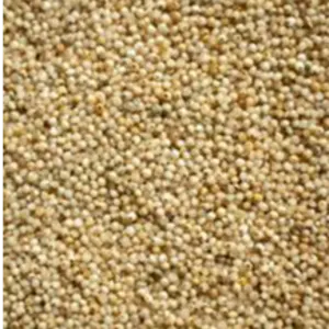 Millet