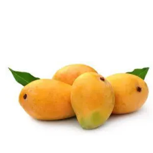 MANGO by ALIYA AGRO FOOD EXPORTER