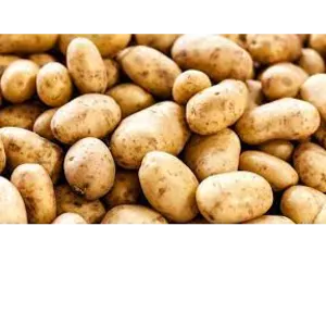 potato