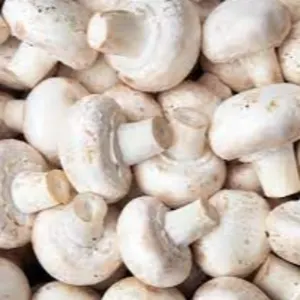 MUSHROOM