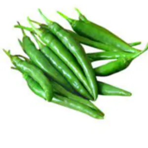 green chilli by ALIYA AGRO FOOD EXPORTER