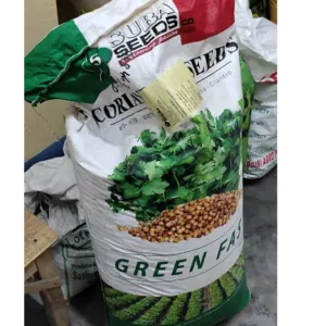 Moroccan Hybrid Coriander Seeds ( Green Fast ) by Frillco International