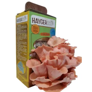 Pink Oyster Mushroom Grow Kit, Beginner Mushroom Grow Kit - Image 2