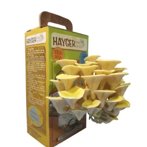 Golden Oyster Mushroom - All in One Gourmet Mushroom Growing
