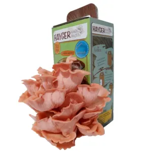 Pink Oyster Mushroom Grow Kit, Beginner Mushroom Grow Kit