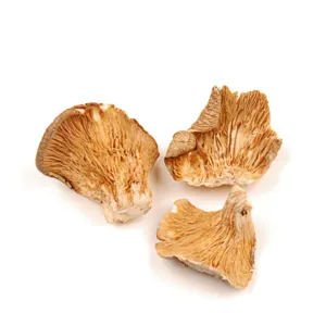 Dried oyster mushroom