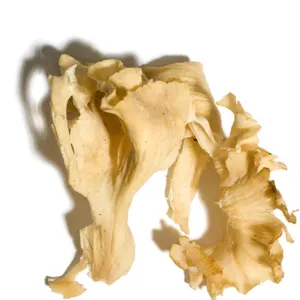 Dried oyster mushroom - Image 2
