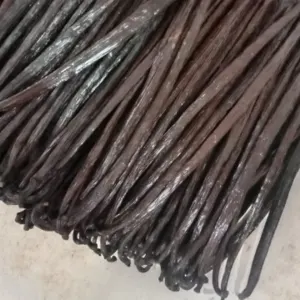 Vanilla Beans Indonesia direct from Farmer - Image 2