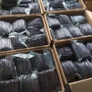 Vanilla Beans Indonesia direct from Farmer - Image 3