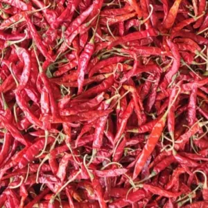 Red Chilli by KKOLI INTERNATIONAL PRIVATE LIMITED