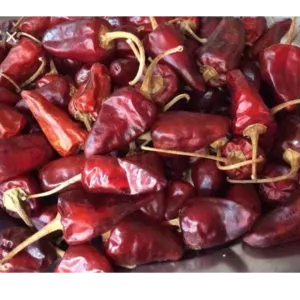 Red Chilli - Image 2