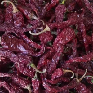 Red Chilli - Image 5