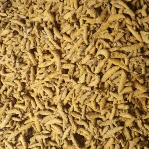 Turmeric