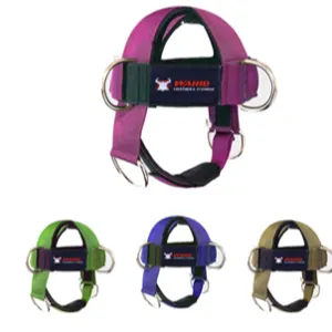 Head harness