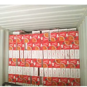 Best brand in the Americas Sultana 450g - Hot Product Wholesale Prices - Bulk Orders Production - Certificate ISO 9001: 2015 HALAL - Image 3