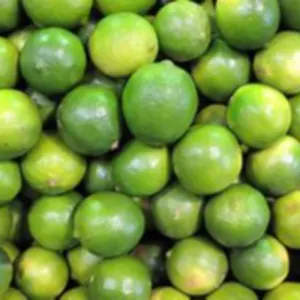 LIME - Image 2