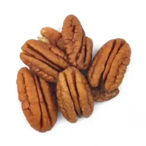 Pecan Nuts by PERDIGAOA LLC