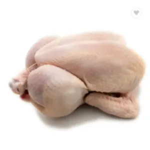 CHICKEN - Image 3