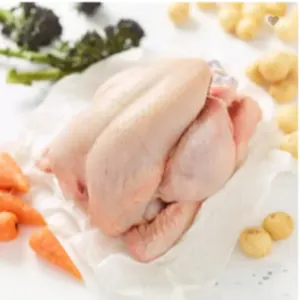 CHICKEN - Image 4