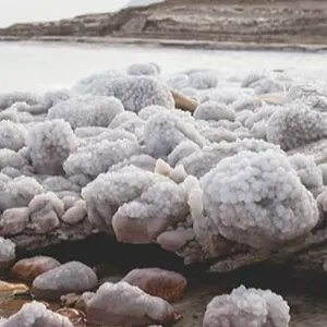 BULK MUD & Salt Dead Sea products - Image 3