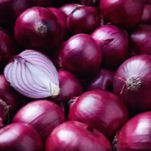 Onions by Semesttrading