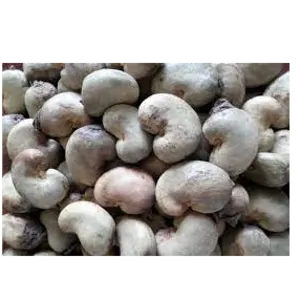 RAW CASHEW NUTS