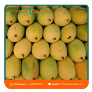 Mangoes