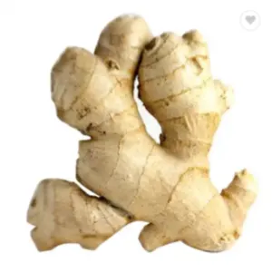 Fresh Vegetables Ginger - Image 2