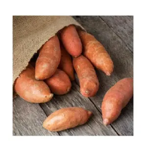 Sweet potato by JJH International USA LLC