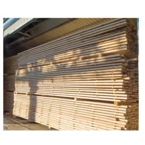 Softwood lumber (pine) - Image 3