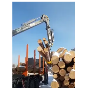 Softwood lumber (pine) - Image 4