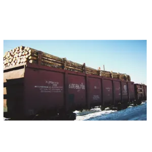 Softwood lumber (pine) - Image 6