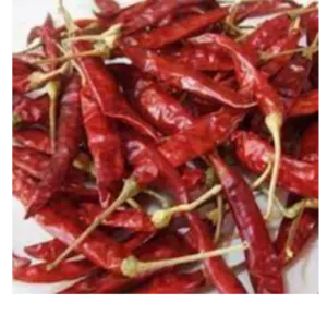 DRIED RED CHILLI by SREE VISHNI GLOBAL EXIM