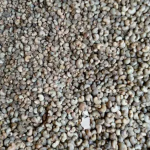Noix de Cajou/ Cashew Nuts - Image 3