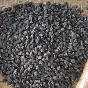 Moringa seeds with less